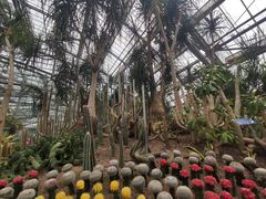 -南山植物园