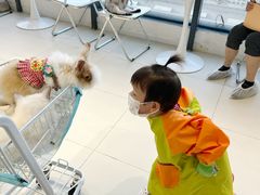 -怪兽屋·羊驼·猫咖·狗咖(俊华广场店)