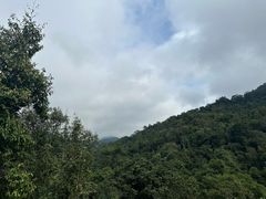 -野象谷景区
