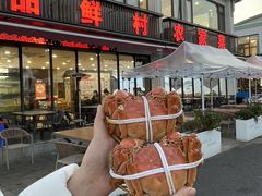 -品鲜村农家菜·阳澄湖大闸蟹(总店)