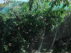 -小六农家乐(崇明西沙湿地店)
