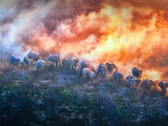 -罗红摄影艺术馆