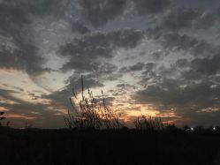 点击看大图 -壹加壹医疗美容·轻医美·美容外科