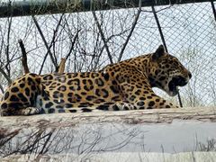 -济南野生动物世界