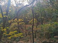 -穹窿山景区