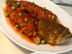 -悦芽照护月嫂+育儿嫂(杭州店)