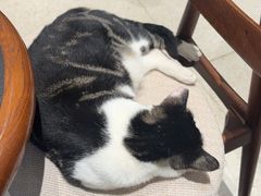 -Peet's Coffee皮爷咖啡(豫园店)