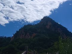 -大岭沟猕猴桃谷风景区