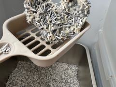 -瑞派申生动物医院·24H夜诊·国际动物医疗中心·骨外科(吴中路店)