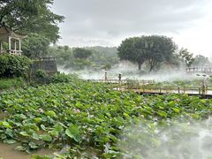 -广州莲花山旅游区