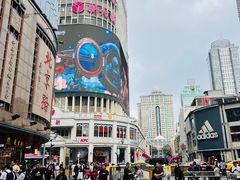 -越秀西湖花市(广州城市广场花卉店)