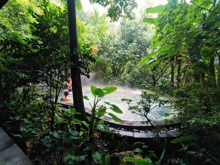 重庆柏联温泉-"还好这几天不热 泡起排排毒还可以在林间.