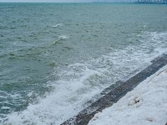 -悦海公园