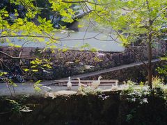 -莫干山风景区