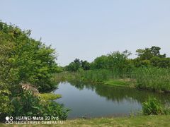 -梁鸿国家湿地公园