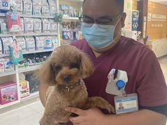 -美联众合动物医院·24h京西诊疗中心