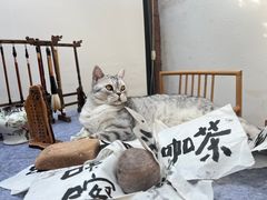 -甲乙丁書店·书茶咖·四合院
