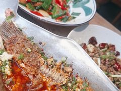 -树厨贵州菜(大十字店)