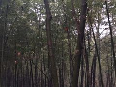 -玉女潭景区