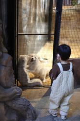 -酷嗒动物文化乐园(cutezoo西溪乐天城店)