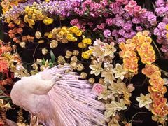 -正佳雨林生态植物园