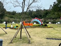-野狸岛