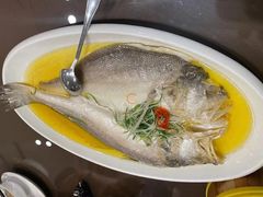 清蒸黄鱼-天福苑(崇宁路店)