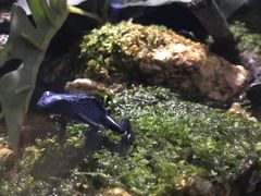 -暹罗海洋世界