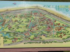 -上海滨江森林公园