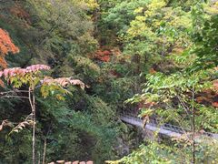 -龙道沟景区