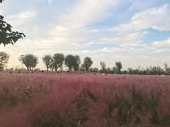 -汉长安城未央宫国家考古遗址公园