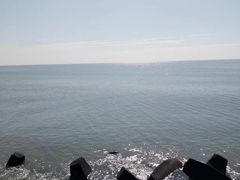 -东堤公园