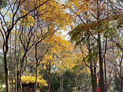 -上海不夜城广场(上海不夜城金融大厦店)