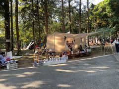 -南宁良凤江国家森林公园