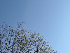 -山城巷传统风貌区
