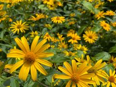 -国家植物园南园