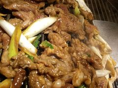 -燚店·铁板鱼蛙·烤肉·烤串(北新桥店)