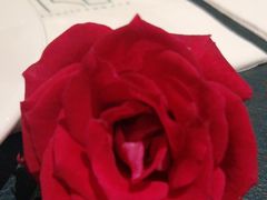-T館·花园艺术餐厅