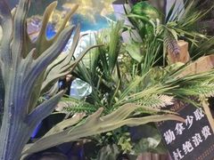 -SEA西雅图海鲜自助餐厅(海乐世界店)