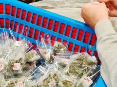 -华联发展销售中心(十月初五街店)
