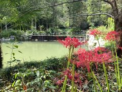 -灵栖洞天
