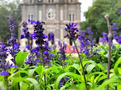 -王府井天主教堂