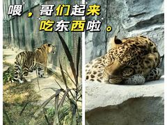 -广州动物园