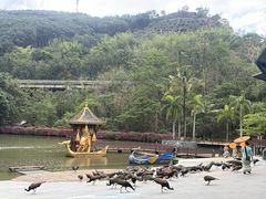 -西双版纳原始森林公园