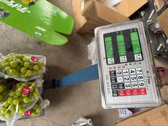 -马陆小张葡萄园农家乐