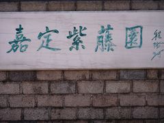 -嘉定紫藤园