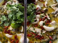 -鲤鱼塘农家山庄