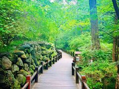 -国家植物园南园