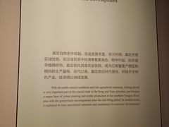 -嘉定博物馆