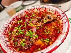 -欧记大排档·景德菜(上海首店)